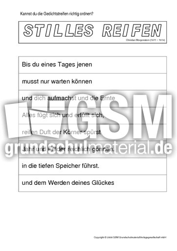 Ordnen-Stilles-Reifen-Morgenstern.pdf
